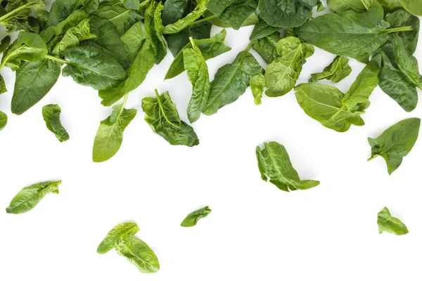 Fresh spinach leaves. — Stock Photo, Image