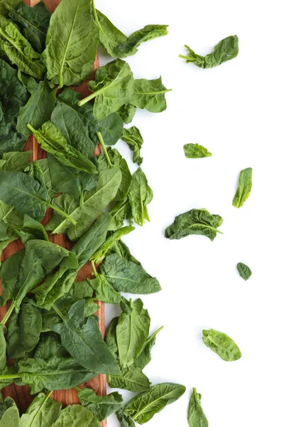 Fresh spinach leaves. — Stock Photo, Image