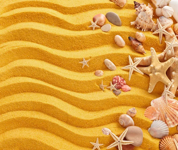 Geel zand en schelpen achtergrond. — Stockfoto