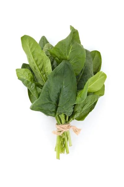 Fresh spinach leaves. — Stock Photo, Image