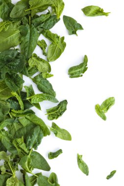 taze ıspanak yaprakları.