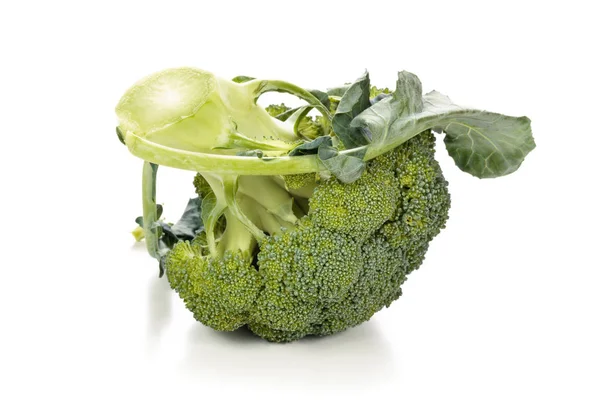 Fresh broccoli on white. — Stock Photo, Image