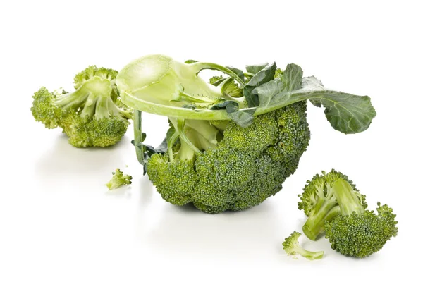 Färsk broccoli på vit. — Stockfoto