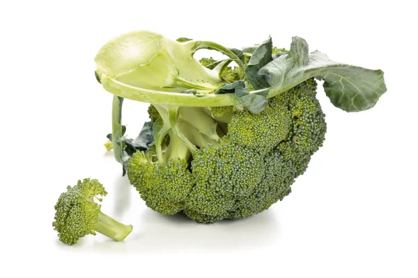 Fresh broccoli on white. — Stock Photo, Image