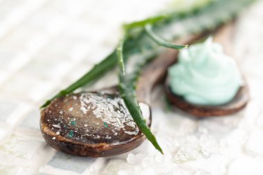 Aloe cilt bakım ürünleri.