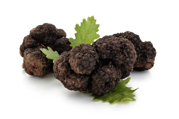 Truffes noires et feuilles de chêne . — Photo