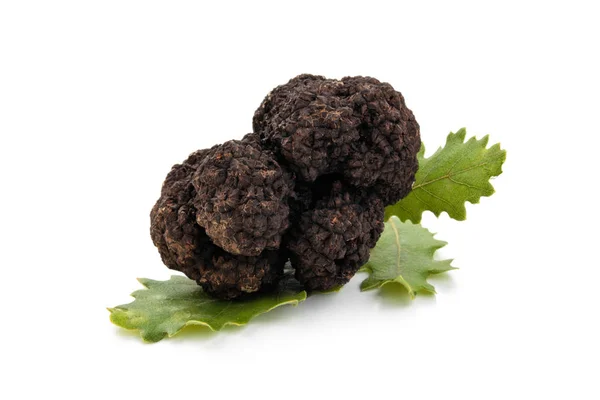 Siyah truffles ve Meşe yaprağı. — Stok fotoğraf
