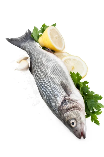 Čerstvé ryby na bílém pozadí. — Stock fotografie
