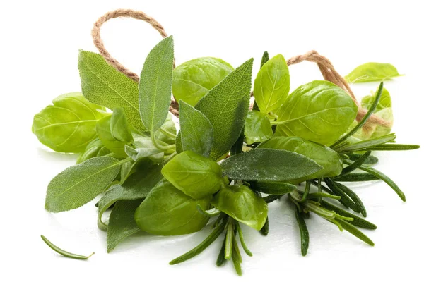 Fresh herbs on white. — Stock Photo, Image
