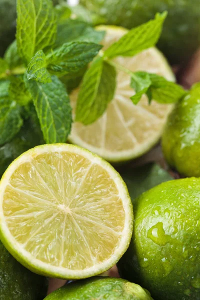 Wet limes and mint. Stock Image