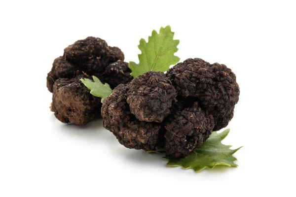 Siyah truffles ve Meşe yaprağı. — Stok fotoğraf