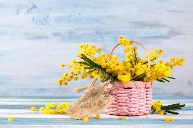 Bahar tatili için hediye.