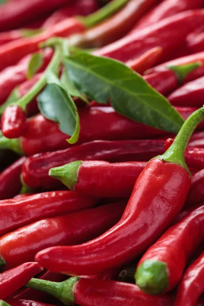 Red chili peppers. — Stock Photo, Image