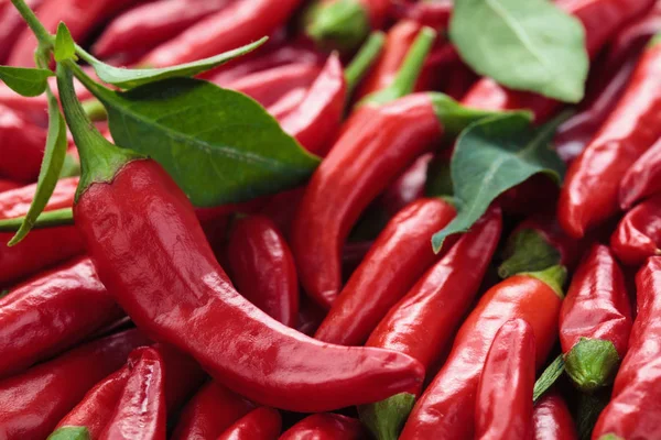 Pimientos chile rojo . —  Fotos de Stock