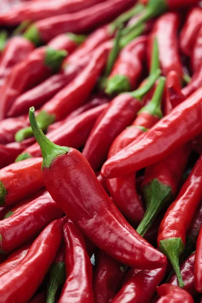 Kırmızı Pul Biber.