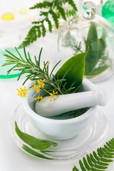 White mortar and pestle with herbs. — Stock Photo, Image