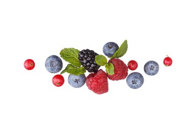 Farklı böğürtlenlerin çelengi.