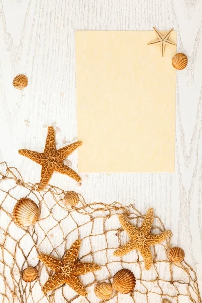 夏天的概念 海贝壳和海星背景的白色木制背景 — 图库照片