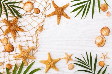 Beyaz ahşap arka planda deniz yıldızları ve deniz kabukları ile yaz zamanı konsepti.
