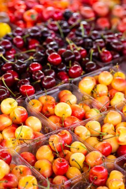 Yerel bir çiftçi pazarında iki çeşit taze kiraz satılıyor.