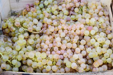 Satılık taze organik beyaz üzümler bir sokak gıda pazarında sergileniyor, üst ya da düz, sağlıklı yiyeceklerin yumuşak odaklı fotoğrafı çekiliyor.