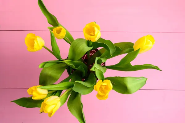 Vista Superior Muchas Pequeñas Flores Tulipán Amarillo Vivo Hojas Verdes — Foto de Stock