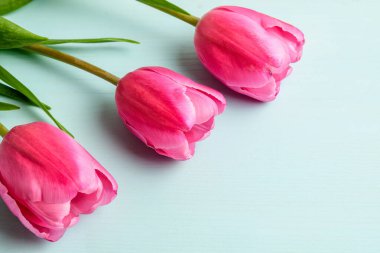 Üç küçük canlı pembe lale çiçeği ve çiğ ahşap bir masa üzerindeki yeşil yaprakların üst görüntüsü, küçük odak ile çekilen güzel kapalı çiçek arkaplan