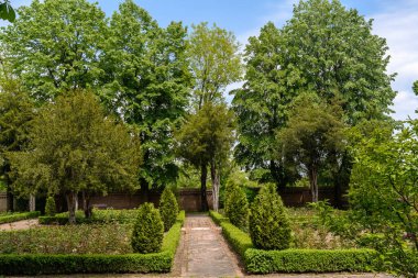 Eski yeşil ağaçların ve yaprakların olduğu bir bahçede boş bir patika İskoçya, İngiltere 'de bir yaz günü, güzel açık hava doğal arka planı yumuşak odaklı fotoğraflanmış.