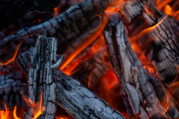 Leña Quemada Fuego Carbón Vegetal Parrilla — Foto de Stock