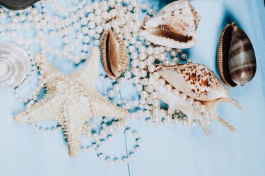 Mavi arka planda deniz kabukları ve inciler..