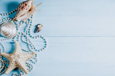 Mavi arka planda deniz kabukları ve inciler. Sağdaki yazı için olmalı. Mavi bir arkaplan..