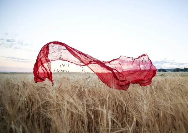 silk scarf on a wheat field