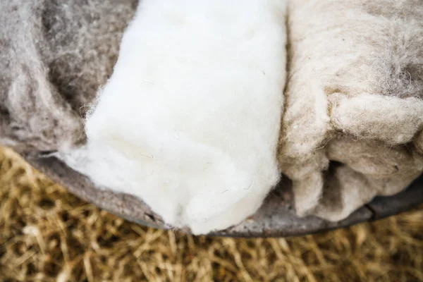 Islak yün ve ipek, makas sabunu ve doğal boya.