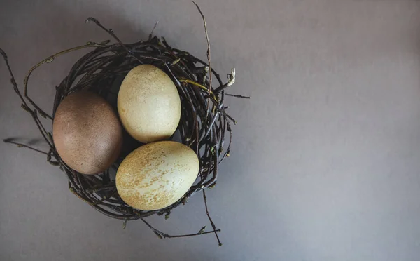 Eco Painted Easter Eggs Nest — Stock Photo, Image