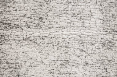 Arka plan olarak beyaz kıvrımlı koyun kürkü dokusu, yünü kapat