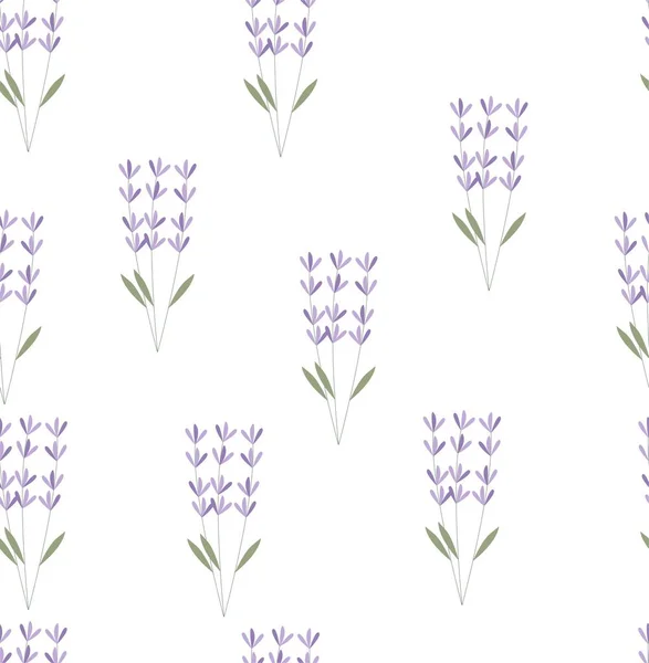 Padrão de vetor de planta lavanda. Padrão de lavanda —  Vetores de Stock