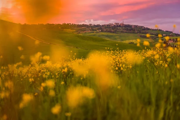 Panoramica Della Città Pienza Val Orcia Toscana Prospettiva Dai Campi — Foto Stock