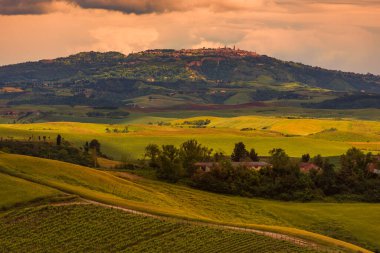 Toskana, Volterra şehrinin manzarası tepeler, üzüm bağları ve toprak yol ön planda.