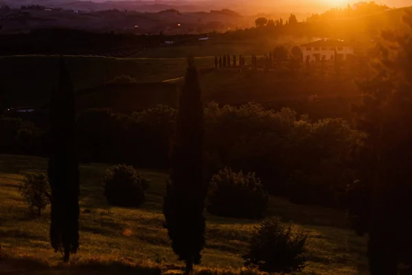 Classico Paesaggio Toscano Tramonto Colline Estate Con Cipressi Primo Piano — Foto Stock