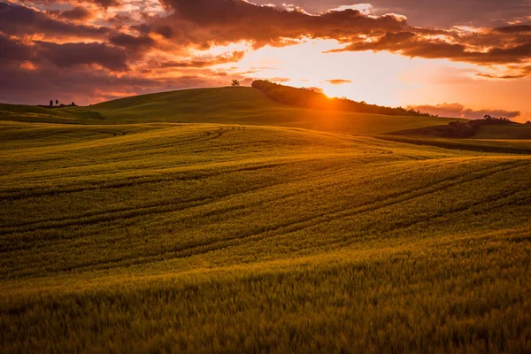 Hills Val Orcia Toscana Nära Pienza Vetefält Vid Solnedgången — Stockfoto