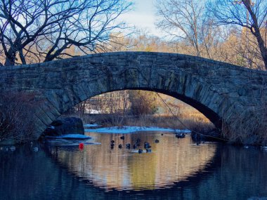 Central Park 'taki ünlü köprü.