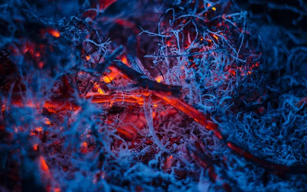 Pyrande askan i elden — Stockfoto