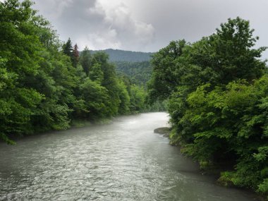 Kayalık kıyıları ve yeşil ağaçları olan dağ nehri.
