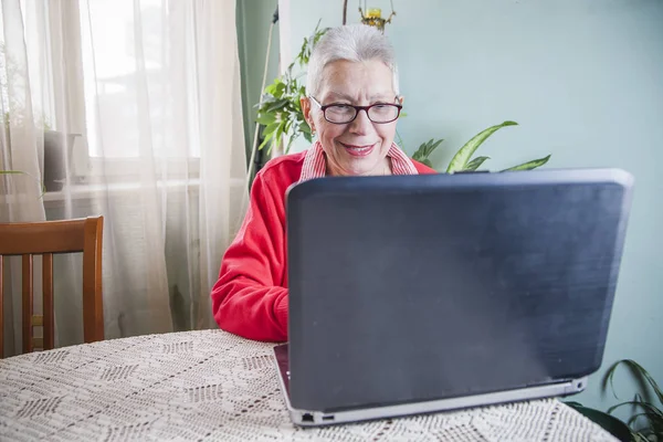 Senior oude vrouw met behulp van haar laptop op haar huis — Stockfoto