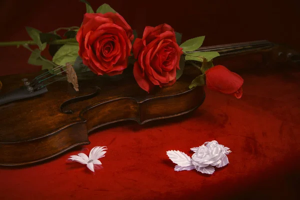 Violon Saint-Valentin avec roses rouges sur fond rouge foncé — Photo