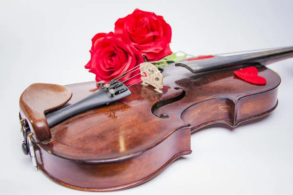 Violon Saint-Valentin recouvert de roses et de pétales de coeur — Photo