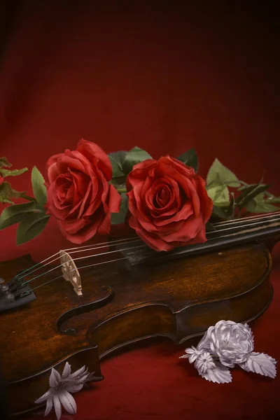 Violino di San Valentino con rose rosse su sfondo rosso scuro — Foto Stock