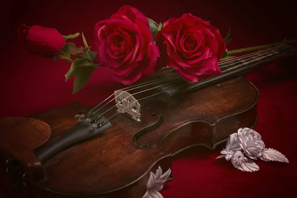 Violon Saint-Valentin avec roses rouges sur fond rouge foncé — Photo