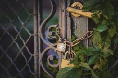 Yaprakları eski rustik kapısı kapalı