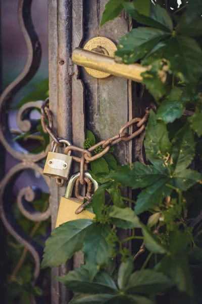 Старі сільські ворота вкриті листям — стокове фото